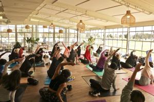 21616056 1392327924214916 5058140878238100675 n